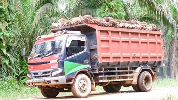 West Kalimantan GAPKI Asks For CPO Export Faucet To Be Reopened