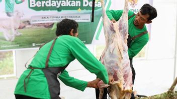 2026 Baznas Victims Empower 2,089 Mustahik Breeders in 15 Provinces