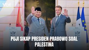 Presiden Emmanuel Macron Puji Sikap Presiden Prabowo soal Palestina