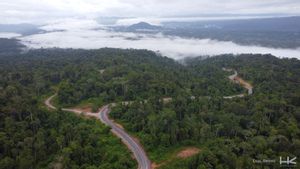 Buka Akses Konektivitas di Papua, Jalan Muri-Kwatisore Rampung Lebih Cepat dari Target