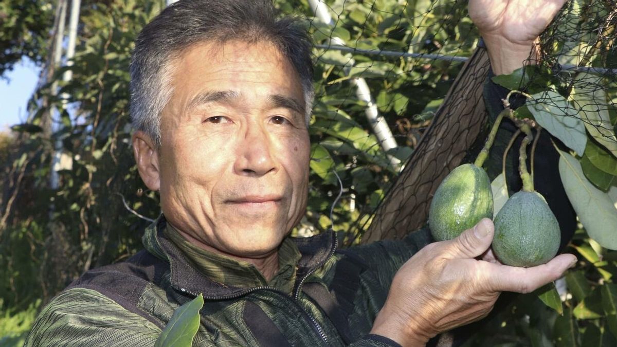 Global Warming Is Turning Japan's Orange City Into an Avocado Field