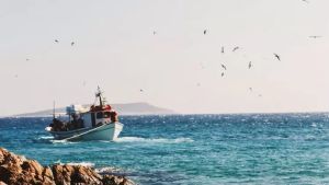 L'Australie a saisi 2,3 tonnes de cocaine d'Amérique du Sud, 13 suspects arrêtés :