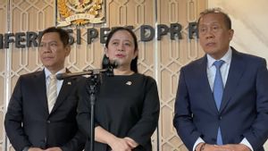 Puan soal OTT Wamenaker: Saya Cek Dulu Kenapa Ini Terjadi