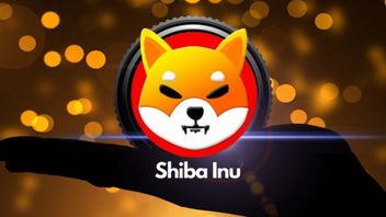 Shiba Inu Token Prices Fall, Investors Are Cold