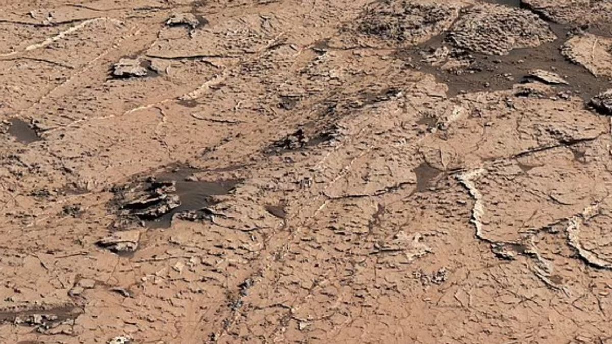 Rover Curiosity NASA Temukan Bukti Siklus Basah dan Kering di Mars yang Mendukung Kehidupan