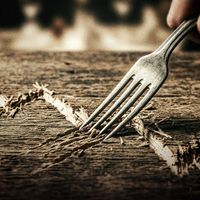 Sembilan Kali Makan Menuju Anarki