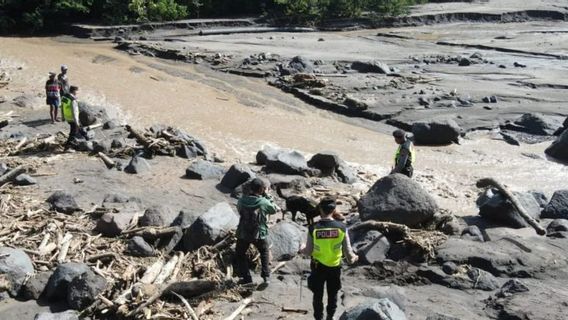 SAR lance un chien de recherche pour trouver des victimes de la lahar de la pluie du Merapi