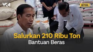 VIDEO: Dampak El Nino, Presiden Jokowi Perintahkan Bulog Bagikan 210 Ton Beras Tiap Bulan
