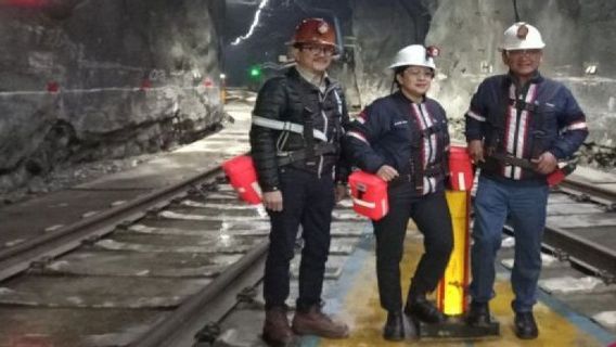 Dapat Lampu Hijau Ekspor, Freeport Harap Izin Terbit Pekan Ini