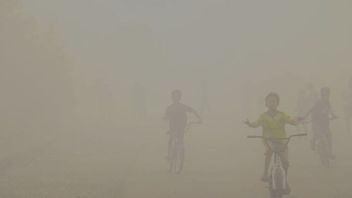 Kabut Asap Karhutla, 11.769 Warga Bengkulu Terpapar ISPA