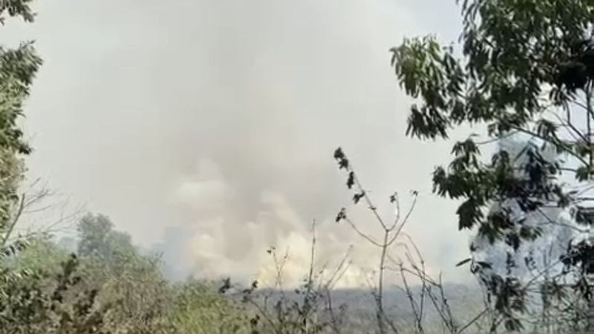 Potensi Tinggi Karhutla di Kawasan Bandara Syamsudin Noor, BPBD Kalsel Terapkan Penjagaan <i>Nyaris</i> 24 Jam