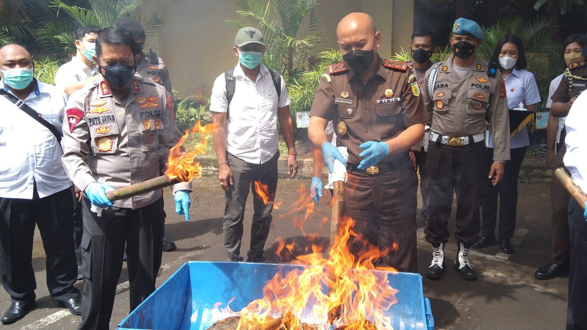 Tout Au Long De 2021, La Police De Bali Arrête 838 Suspects De Stupéfiants Et Les Affaires De Marijuana Dominent