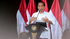 Jokowi: Jika Amerika Punya New York dan Washington DC, Indonesia Miliki Jakarta dan IKN Nusantara