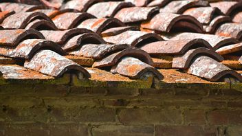 Ketahui 7 Jenis Genteng Rumah Lengkap dengan Kelebihan dan Kekurangannya 