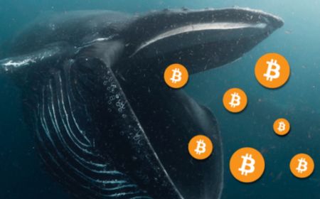 Whale Bitcoin Transfer 48.000 BTC dari Coinbase Pro, Pertanda Apa Ini?