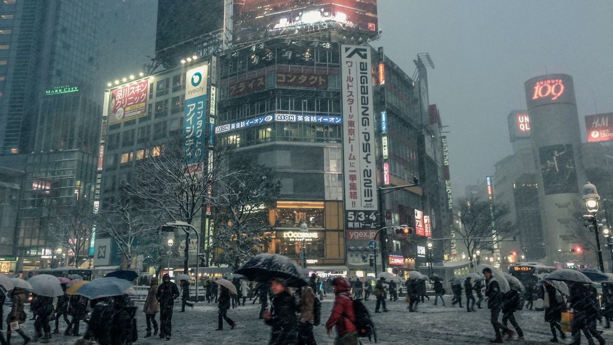 Jepang Mulai Penelitian untuk Hasilkan Listrik dari Salju