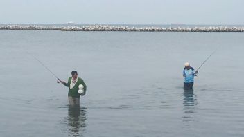 الآلاف الفيروسية من الأسماك تقفز فوق جزيرة أنجل ، KPKP يأخذ عينات من الأسماك ومياه البحر
