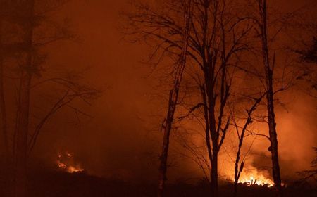 Angin Kencang Membuat Kebakaran Hutan di Colorado AS Meluas, Warga Dievakuasi