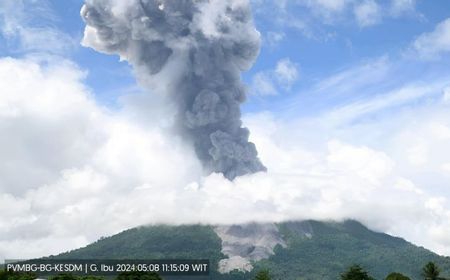 Gunung Ibu Naik Status Jadi Siaga, Warga Diminta Tak Beraktivitas di Radius 3 Km