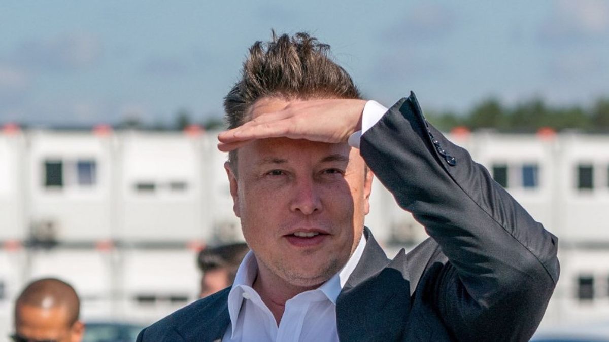 Elon Musk: Bitcoin Et La Bulle Ethereum Augmente