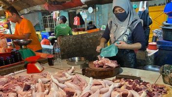 Asosiasi Masyrakat Peternak Sumsel Keluhkan Pelemahan Daya Beli Sebabkan Harga Ayam Turun