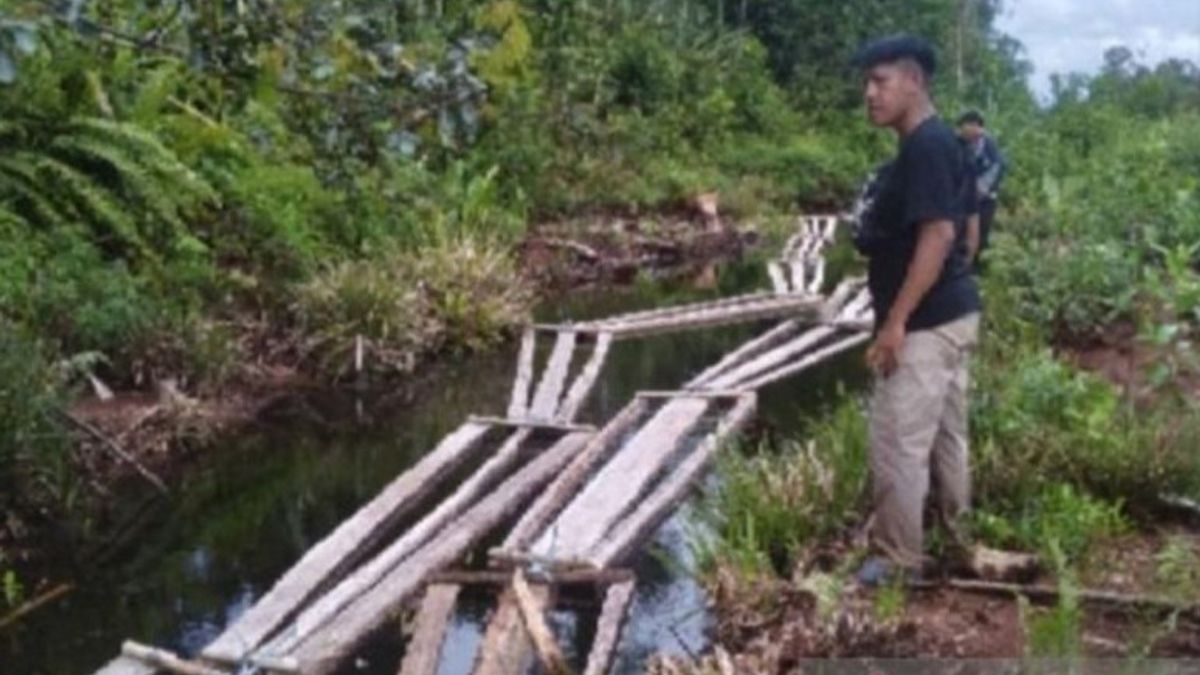 Ada Pembalakan Liar di Kawasan PT PDIW di Kabupaten Muaro Jambi, Polisi Temukan Ratusan Batang Kayu