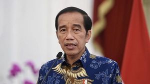 'IKN Bukan Sekadar Pindahkan Gedung dari Jakarta, Visi Besar Kita Pemerataan,' Tegas Jokowi Soal Pemindahan Ibu Kota