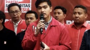 Kaesang Diisukan Maju Pilgub Jakarta, Projo Pastikan Jokowi Tak Cawe-Cawe Lewat Putusan MA