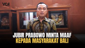 Bali Sempat 'Gelap' Akibat Pemadaman Listrik, Jubir Prabowo Minta Maaf