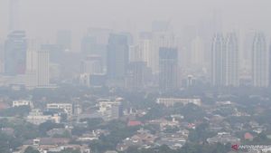 Mati Muda Akibat Polusi Udara Bukan Mengada-ada