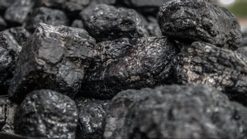 Coal Charges Constrained By VAT, This Is What The Minister Of Energy And Mineral Resources Said