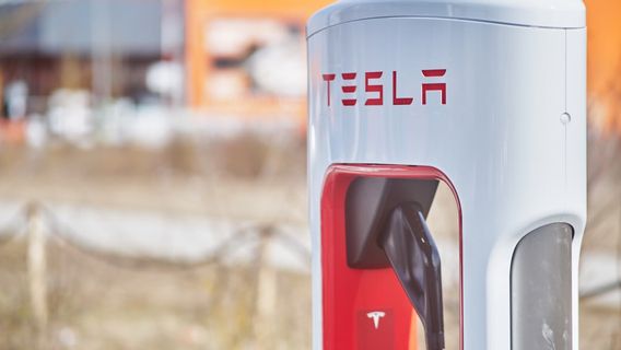 Elon Musk Bakal Mundur dari DOGE Gara-gara Saham Tesla Anjlok