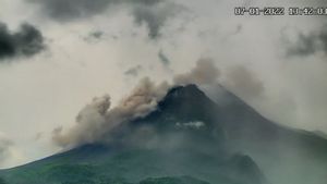 Gunung Merapi Luncurkan Guguran Awan Panas 2 Kali Hingga 2,5 Km