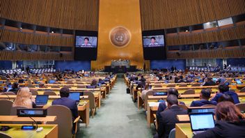 雷特诺外长在联合国大会上的讲话：需要一个基于新范式的世界秩序