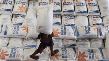 Bulog assure que les stocks de riz de 3,2 millions de tonnes sont sûrs jusqu'à la fête de l'Indonesian 2026