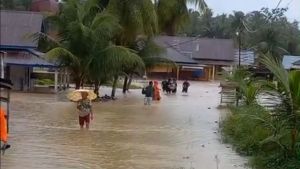  Mentan Minta Pemda di Sumbar Gesit Tangani Lahan Terdampak Bencana Akhir 2025