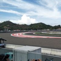Warga Diimbau Tak Tonton WSBK Mandalika dari Atas Pohon, Ikuti Aturan yang Berlaku