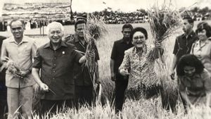Presiden Soeharto dapat Medali Emas dari FAO dalam Sejarah Hari Ini, 21 Juli 1986