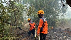 BPBD Berjibaku Padamkan Karhutla di Kubu Raya Kalbar Dekat Pemukiman