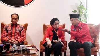 Pdip秘书长Tetis Masalah Megawati dan Jokowi Tak Jalin Komunikasi: Sayih Sayang Ibu永不结束