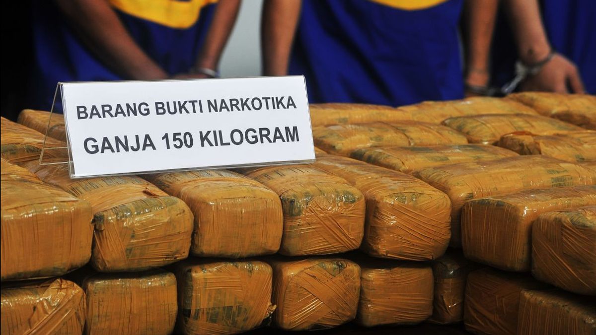 Tangkapan Besar! BNNP Bali Gagalkan Penyelundupan Ganja Seberat 44 Kg 