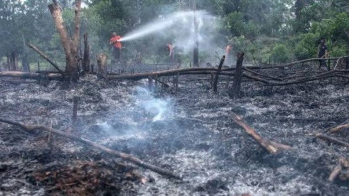 Di Tahun Poltik, Kasus Kebakaran Hutan Naik Demi Pencitraan Calon Kepala Daerah