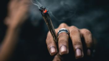 大麻合法化不是竞争，但印度尼西亚进一步落后
