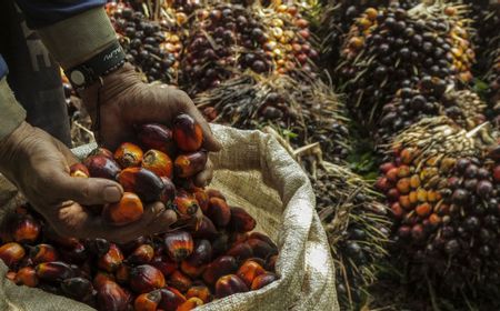 Airlangga Ungkap RI Berkomitmen Dukung Keberlanjutan Industri Sawit