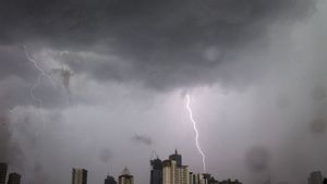  BMKG Prakirakan Sejumlah Wilayah Jakarta Diguyur Hujan Disertai Petir