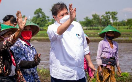 Menko Airlangga Hartarto: Saatnya Petani Milenial Terapkan Pertanian Cerdas