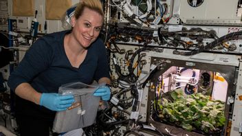L’agriculture Dans L’espace Pour La Survie Des Astronautes