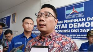 Ridwan Kamil: Saya di Jakarta Mau Lawan 2 atau 3 Berapa Pun Ayo