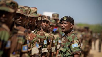 失踪后，索马里政府将从厄立特里亚遣返5 000名士兵