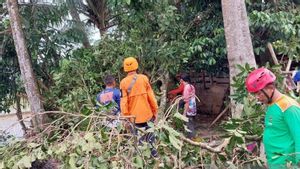 7 Bulan ke Depan, Warga Cianjur Diminta Waspada Hujan Deras dan Longsor